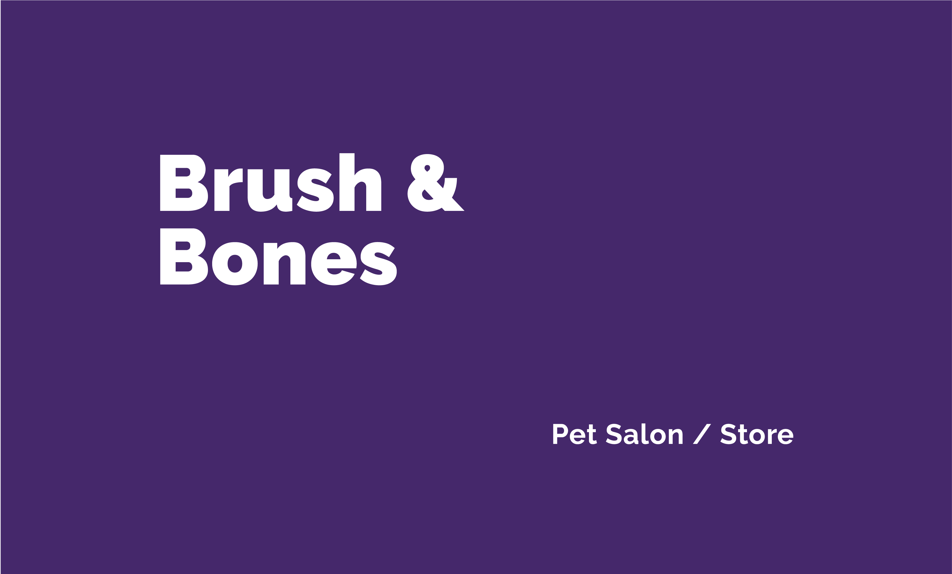 brushandbones-logodesign-graphicdesign-typography-petsalon-branding-strategy-businessdevelopment-clean-bold-modern2